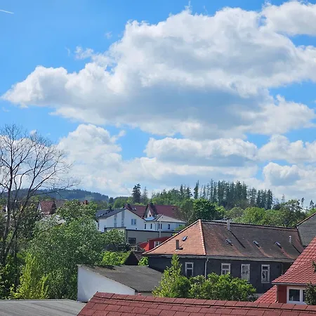 Ilmpartment Deluxe Suite - Vollausstattung - Boxspringbett - Wi-Fi - Netflix Ilmenau Exterior photo